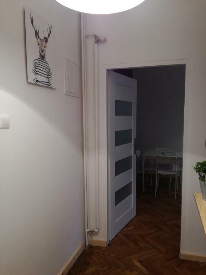 クラクフApartament Rydla 20アパートメント エクステリア 写真